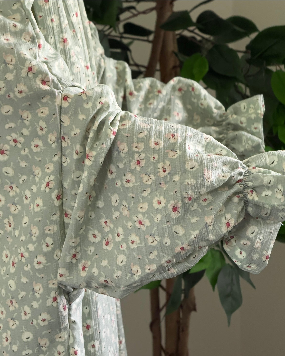 ☘️بستاشيو